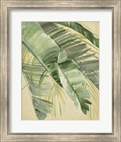 Framed Banana Palms I