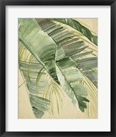 Banana Palms I Framed Print