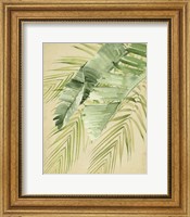 Framed Banana Palms II