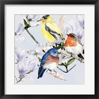 Four Little Birds II Framed Print