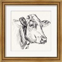 Framed 'Holstein Portrait Sketch I' border=