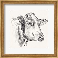 Framed Holstein Portrait Sketch I