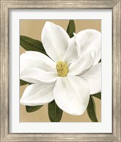 Framed 'Magnolia on Gold I' border=