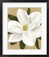Magnolia on Gold I Framed Print