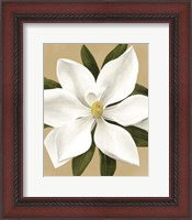 Framed Magnolia on Gold II