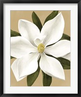 Framed Magnolia on Gold II