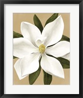 Magnolia on Gold II Framed Print