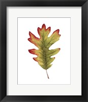 Framed Fall Leaf Study II