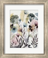 Framed Watercolor Wildflower II