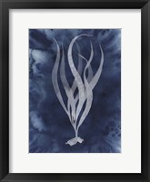 Midnight Kelp I Framed Print