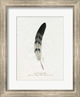 Framed Found Feather I