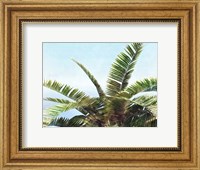 Framed Pleasant Palms I