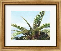 Framed Pleasant Palms I