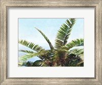 Framed Pleasant Palms I
