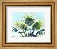 Framed Pleasant Palms II