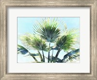 Framed Pleasant Palms II