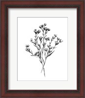 Framed 'Wild Thistle Bundle I' border=