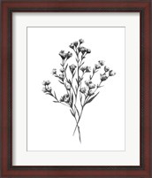 Framed Wild Thistle Bundle I