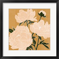 Modern Peonies II Framed Print