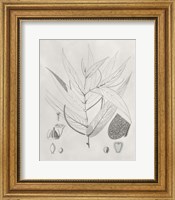 Framed Vintage Leaves IV