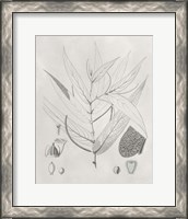 Framed 'Vintage Leaves IV' border=