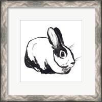 Framed 'Winter Rabbit I' border=