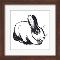 Framed Winter Rabbit I