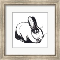 Framed 'Winter Rabbit I' border=