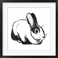 Framed Winter Rabbit I