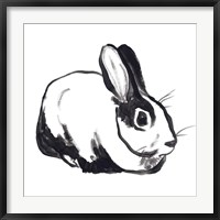 Framed Winter Rabbit I