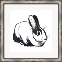 Framed Winter Rabbit I