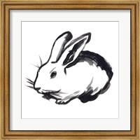 Framed Winter Rabbit II