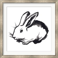 Framed Winter Rabbit II