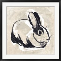 Framed Antique Rabbit I