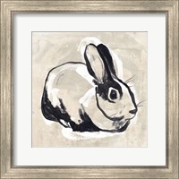Framed 'Antique Rabbit I' border=