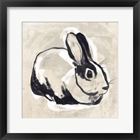 Framed Antique Rabbit I