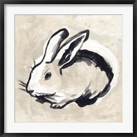 Framed Antique Rabbit II