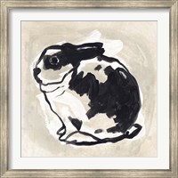 Framed Antique Rabbit IV