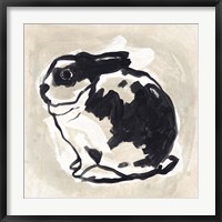 Framed Antique Rabbit IV