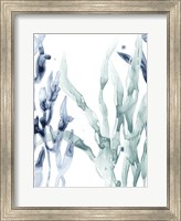 Framed Blue Kelp II