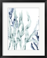 Framed Blue Kelp III
