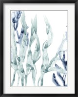 Framed Blue Kelp III