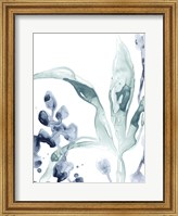 Framed Blue Kelp IV