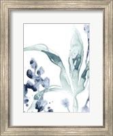 Framed Blue Kelp IV