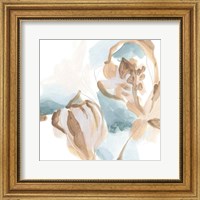 Framed Abstracted Shells IV