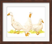 Framed Quack Squad I