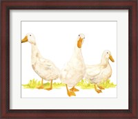 Framed Quack Squad I