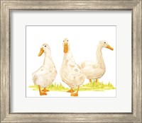 Framed Quack Squad II