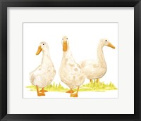 Framed Quack Squad II