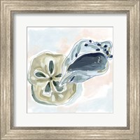 Framed Shell Melody I